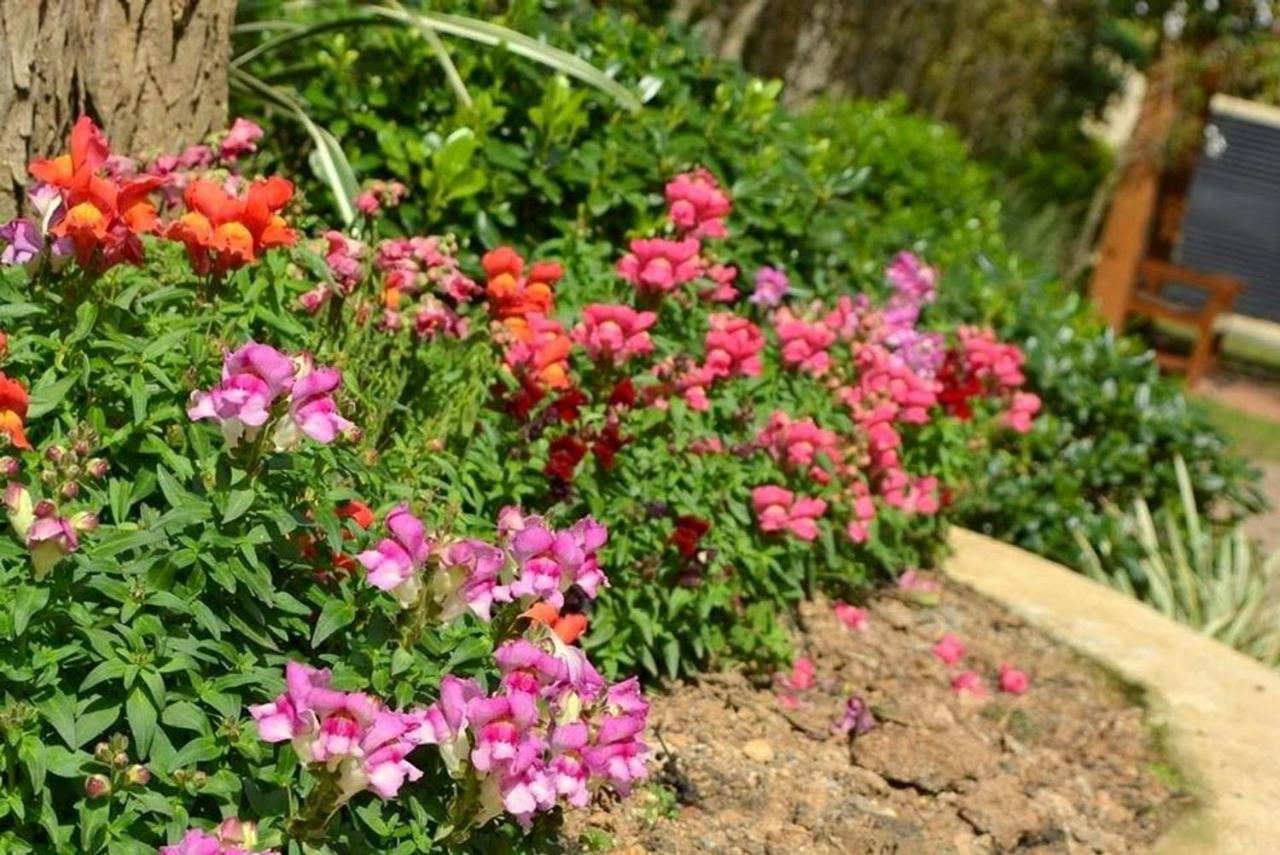 Locar-In Gramado Flores Da Montanha Centro Eksteriør billede